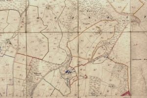 Map of North Lees 1922 4